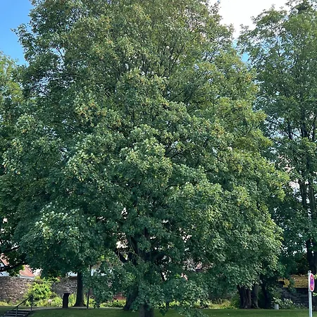 Wohnstudio Am Höxter