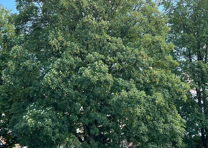 Wohnstudio Am Höxter